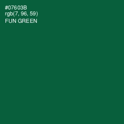 #07603B - Fun Green Color Image